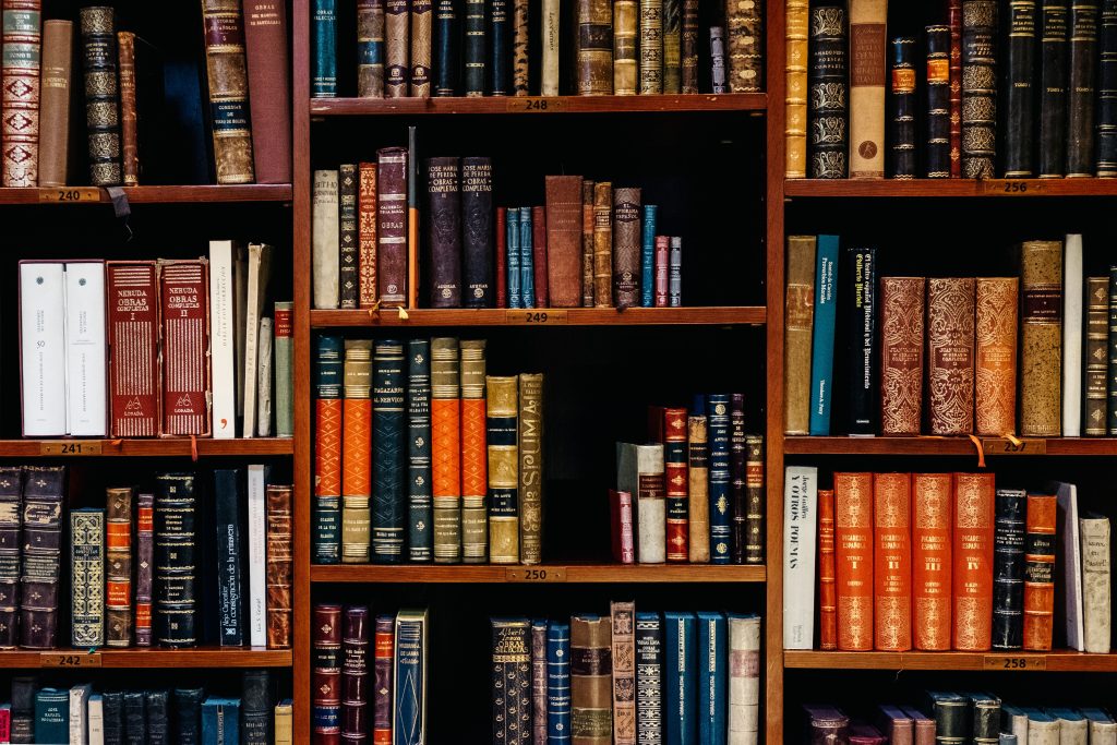 inaki del olmo NIJuEQw0RKg unsplash scaled